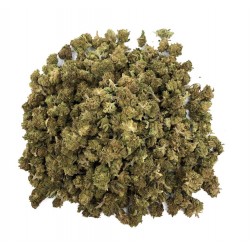 SMALL BUD Fleur de CBD