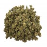 SMALL BUD Fleur de CBD