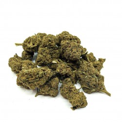 ICE CREAM MEDIUM BUD Fleur de CBD