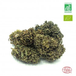 LEMON Fleur de CBD BIO de PROVENCE